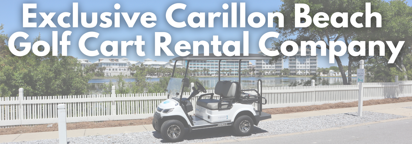 Rental Banner Image